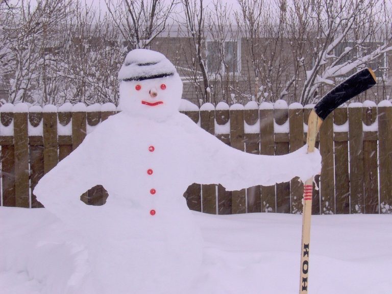 Got Cabin Fever? Here are 10 Things You Can Do In Your Garden During Winter